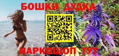 прущие грибы Шахты