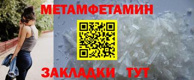 прущие грибы Шахты