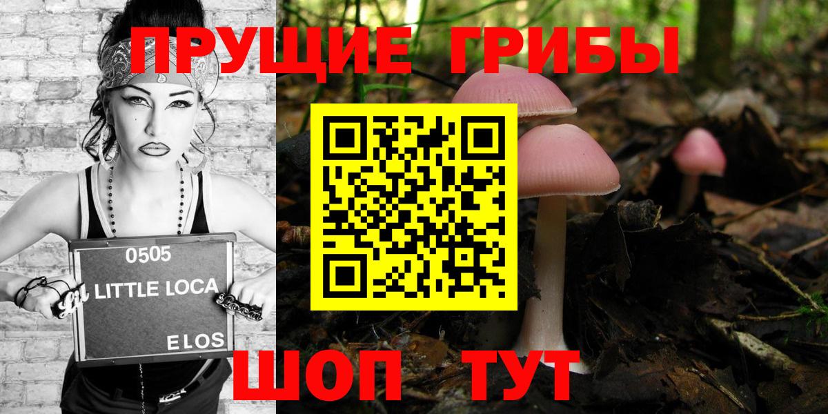 Галлюциногенные грибы прущие грибы Туапсе