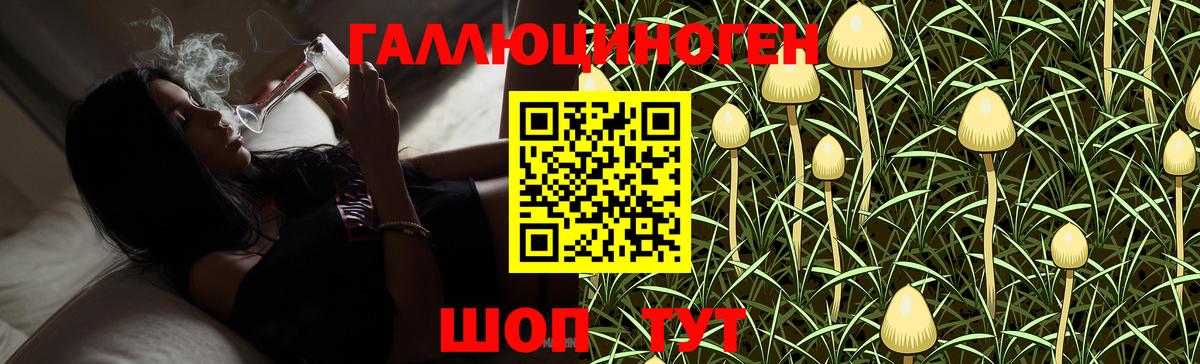 Туапсе  Галлюциногенные грибы GOLDEN TEACHER  Вход с VPN 